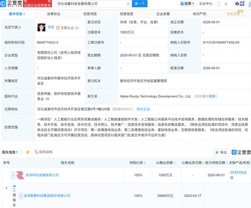 润泽科技双子公司落地，锚定AI基础软件开发新赛道